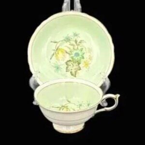 Vintage Paragon Double Warrant Light Green Dogwood Wild Rose Teacup and Saucer S
